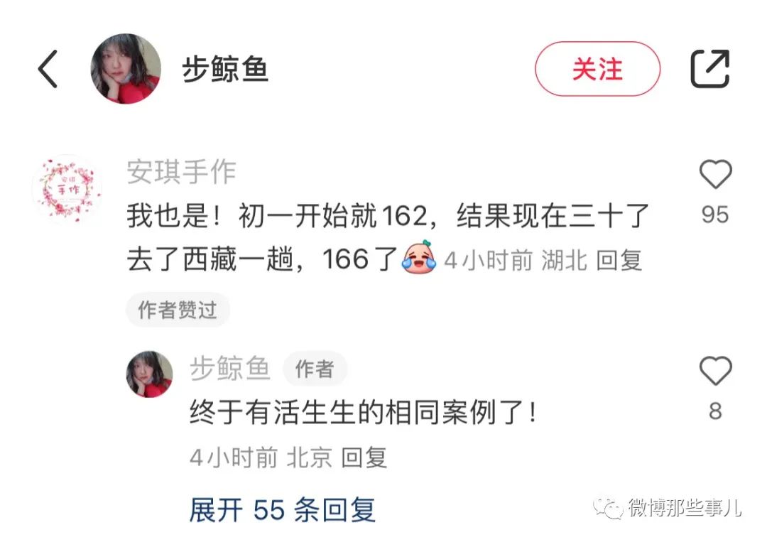 Word文档图片